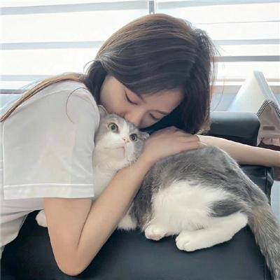学校的墙不见了